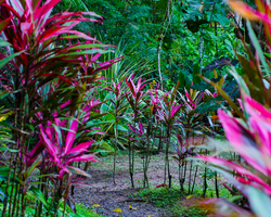 Jardín Botánico El Perezoso