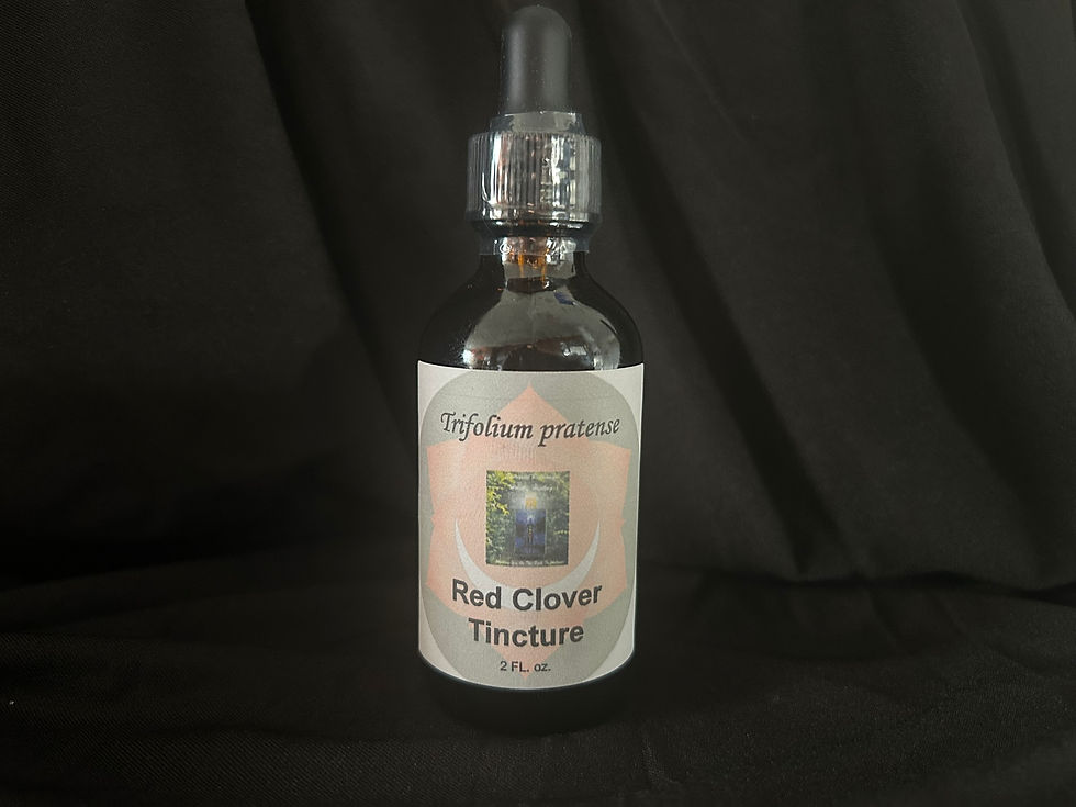 Red Clover Herbal Extract 2 oz.