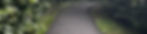 SPHH Background half.JPEG