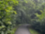 SPHH Background 