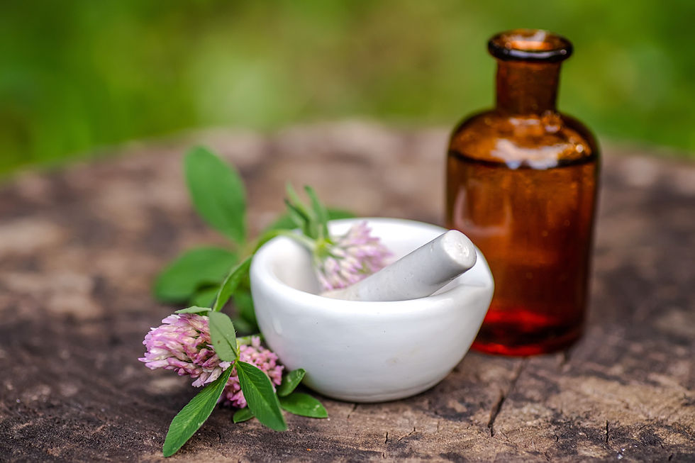 Thumbnail: Red Clover Herbal Extract 2 oz.