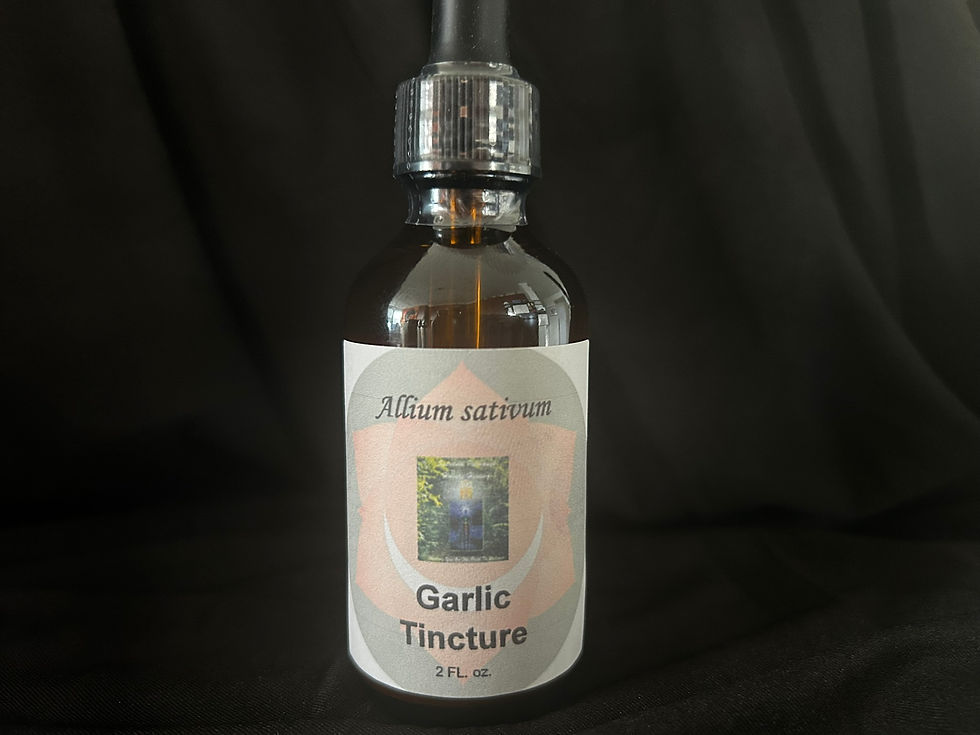 Garlic Herbal Extract 2 oz.