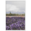 Thumbnail: Washington Lavender Farm - Premium Matte Paper Wooden Framed Poster