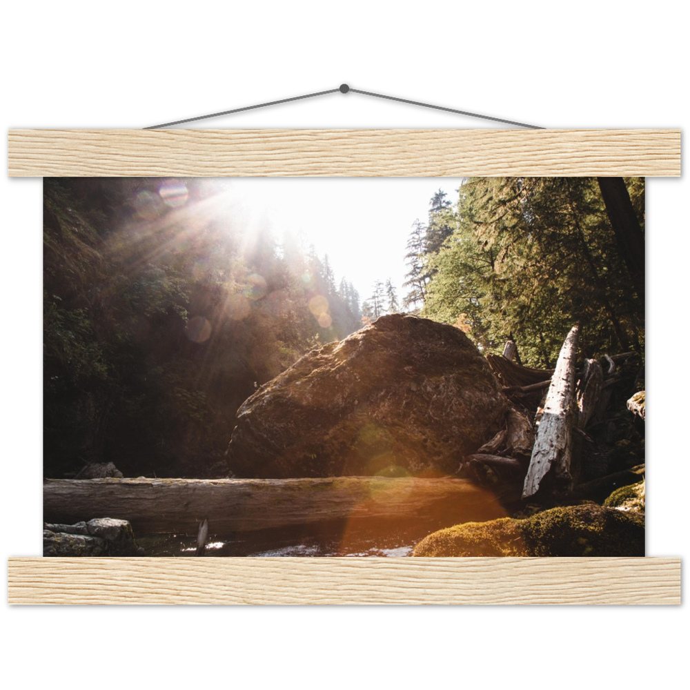 Oso - Premium Matte Paper Poster & Hanger