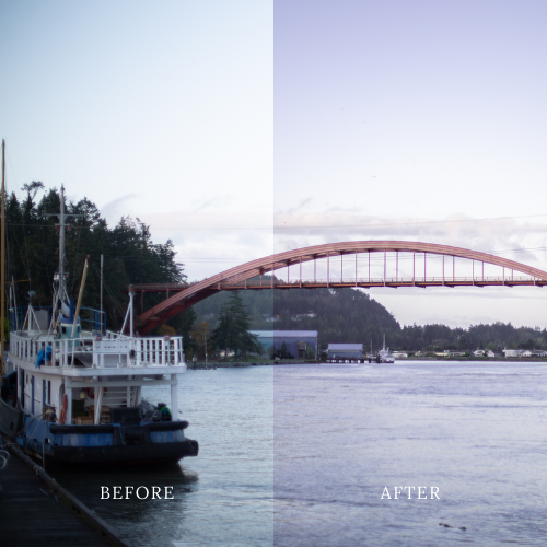 Thumbnail: Evergreen Lightroom Preset Collection