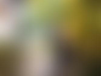 Four Primary Layers of Your Energetic Body