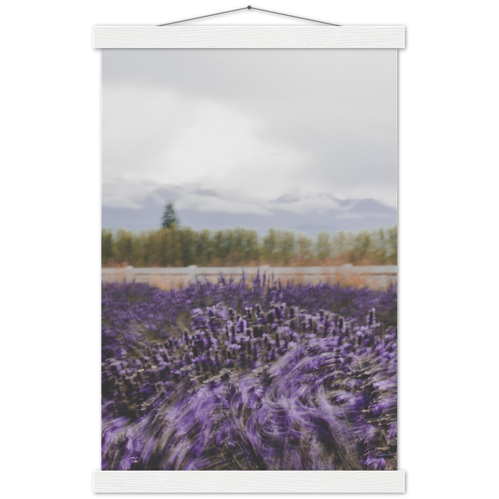 Thumbnail: Washington Lavender Farm - Premium Matte Paper Poster & Hanger