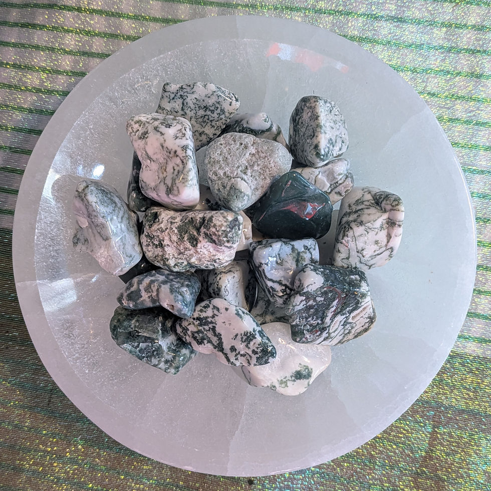 Thumbnail: Tree Agate - Tumble