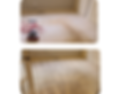 Untitled design.png