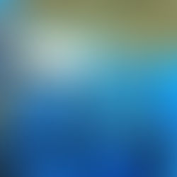 Entrega de garrafas del Programa Hogar