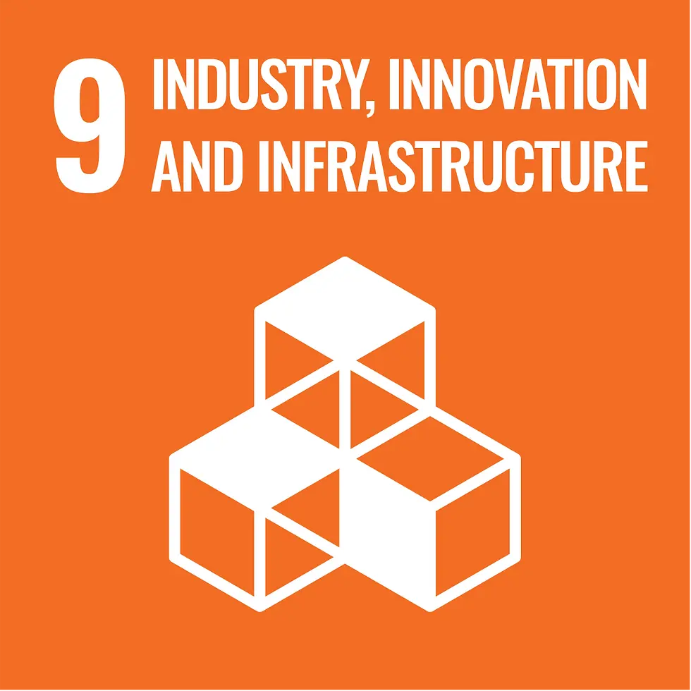 Sustainable_Development_Goal_09Industry.svg.webp