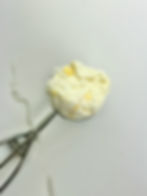 New York Cheesecake Lemon Swirl