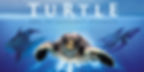 TURTLE: THE INCREDIBLE JOURNEY
