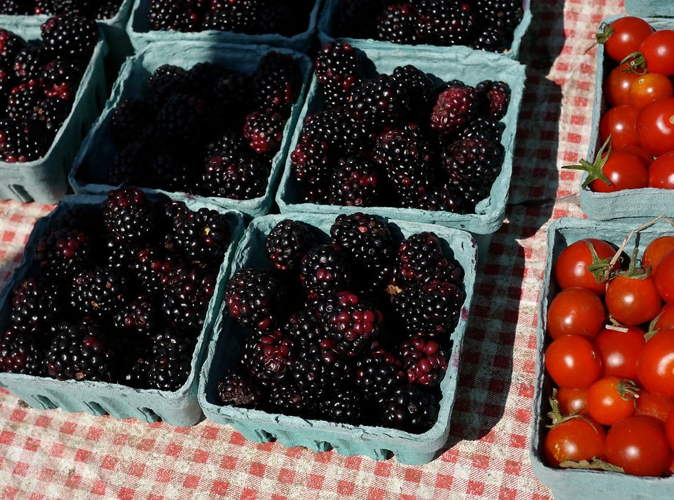 Blackberries at the Brookly Bridge Farmers Market !