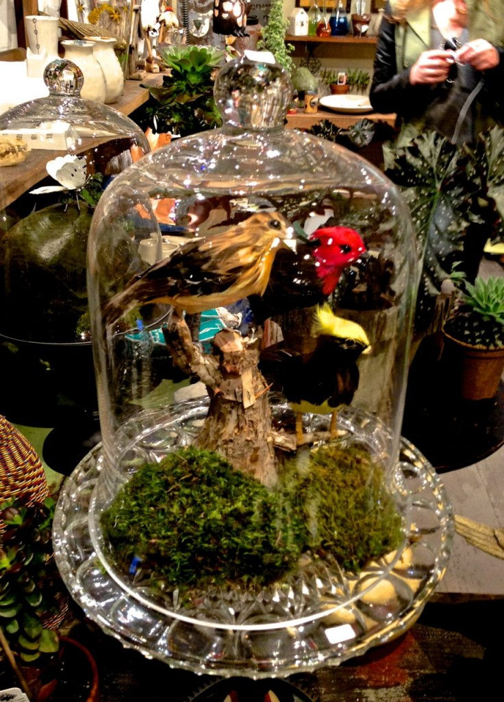 Birds and Baubles Under Glass from Junk Lab