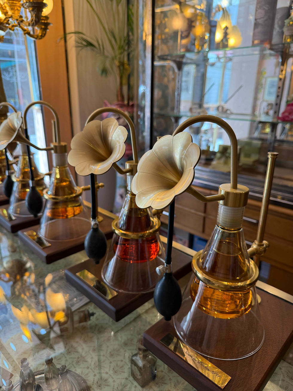 Scents for Your Senses