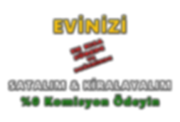 şefaf fonlu şablon.png