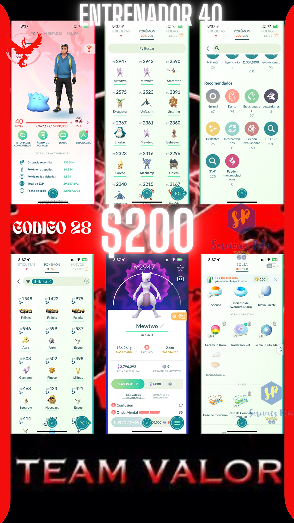 Entrenador nivel 40 Valor / Basica