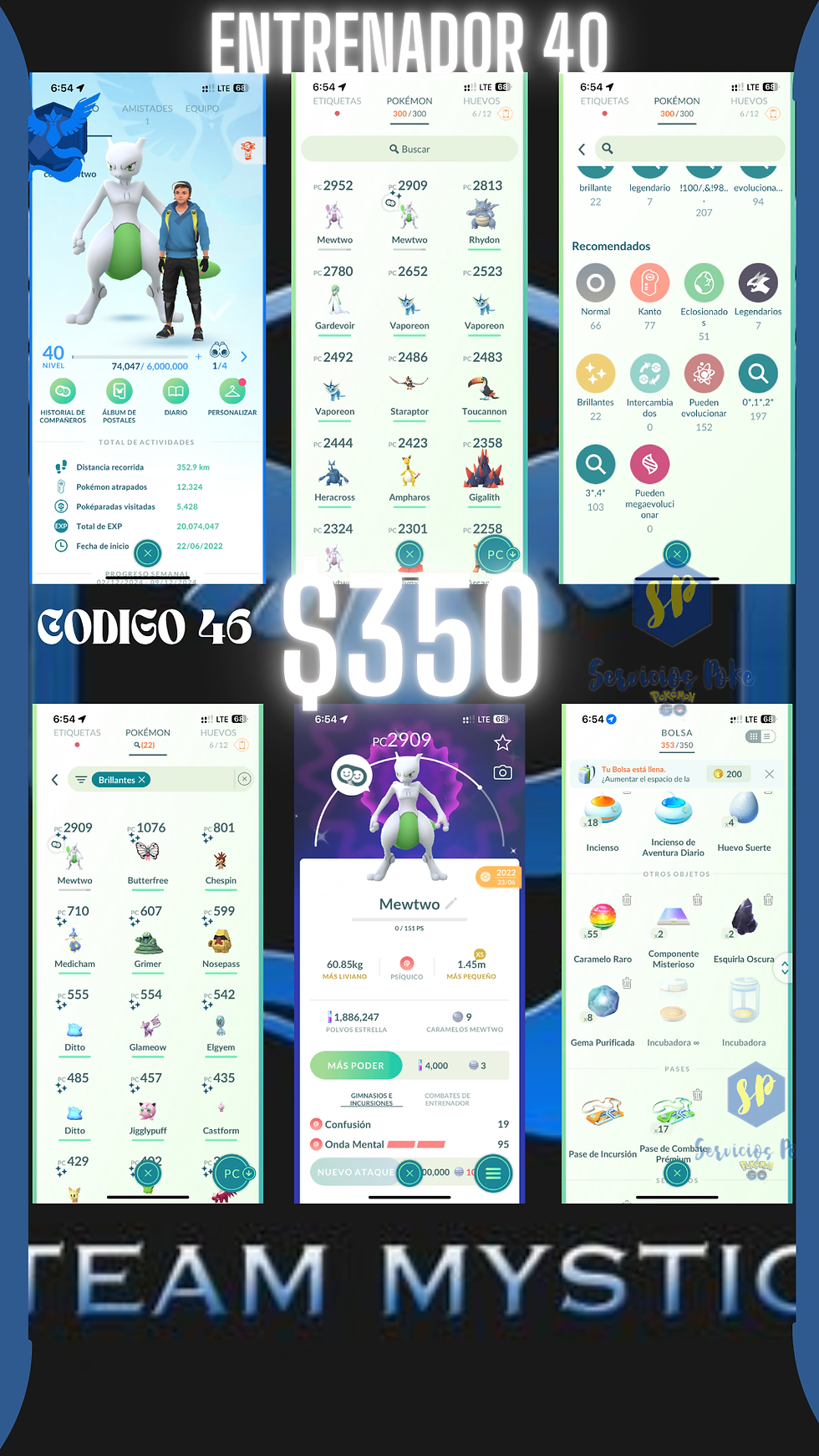 Entrenador nivel 40 sabiduría + Pokémon Especial