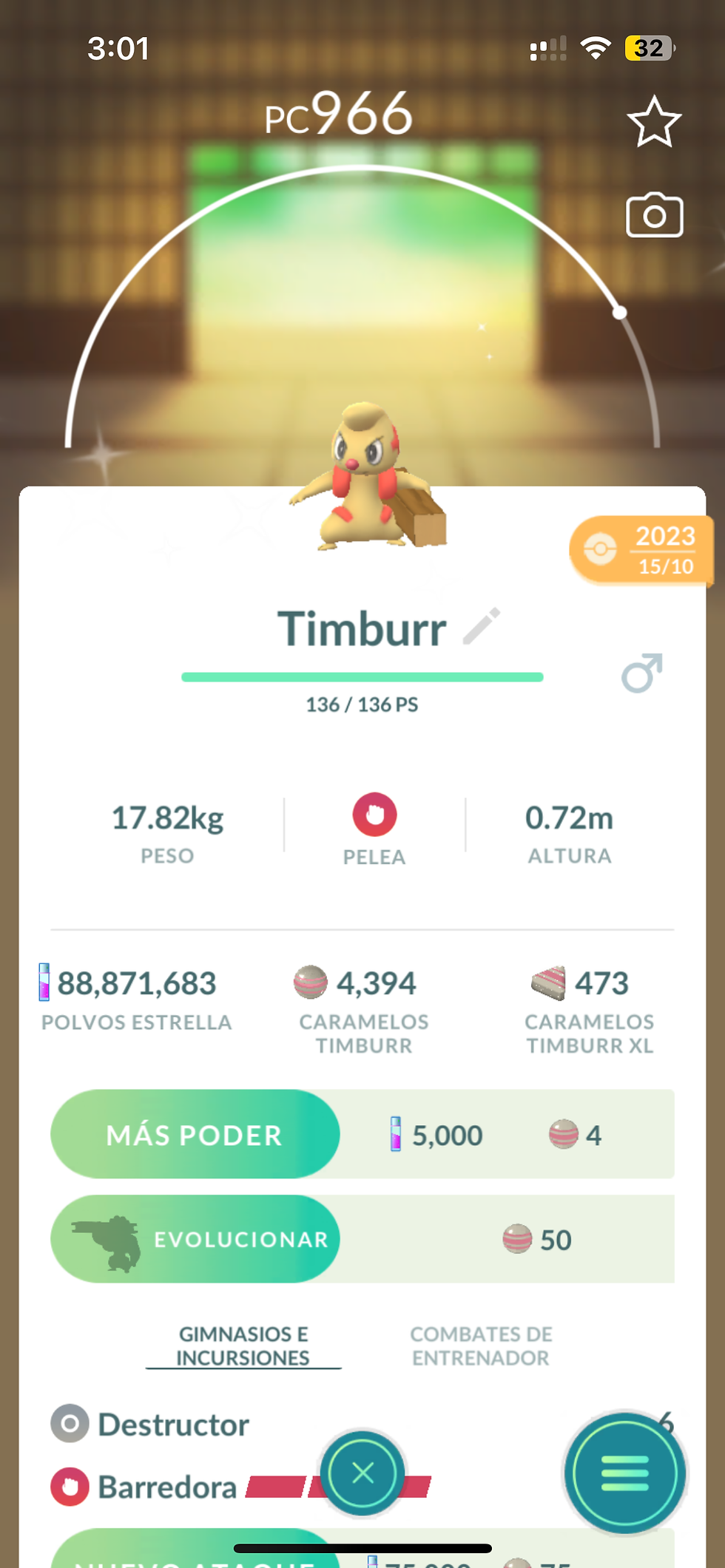 Timbur Shiny x Intercambio / Lote 2