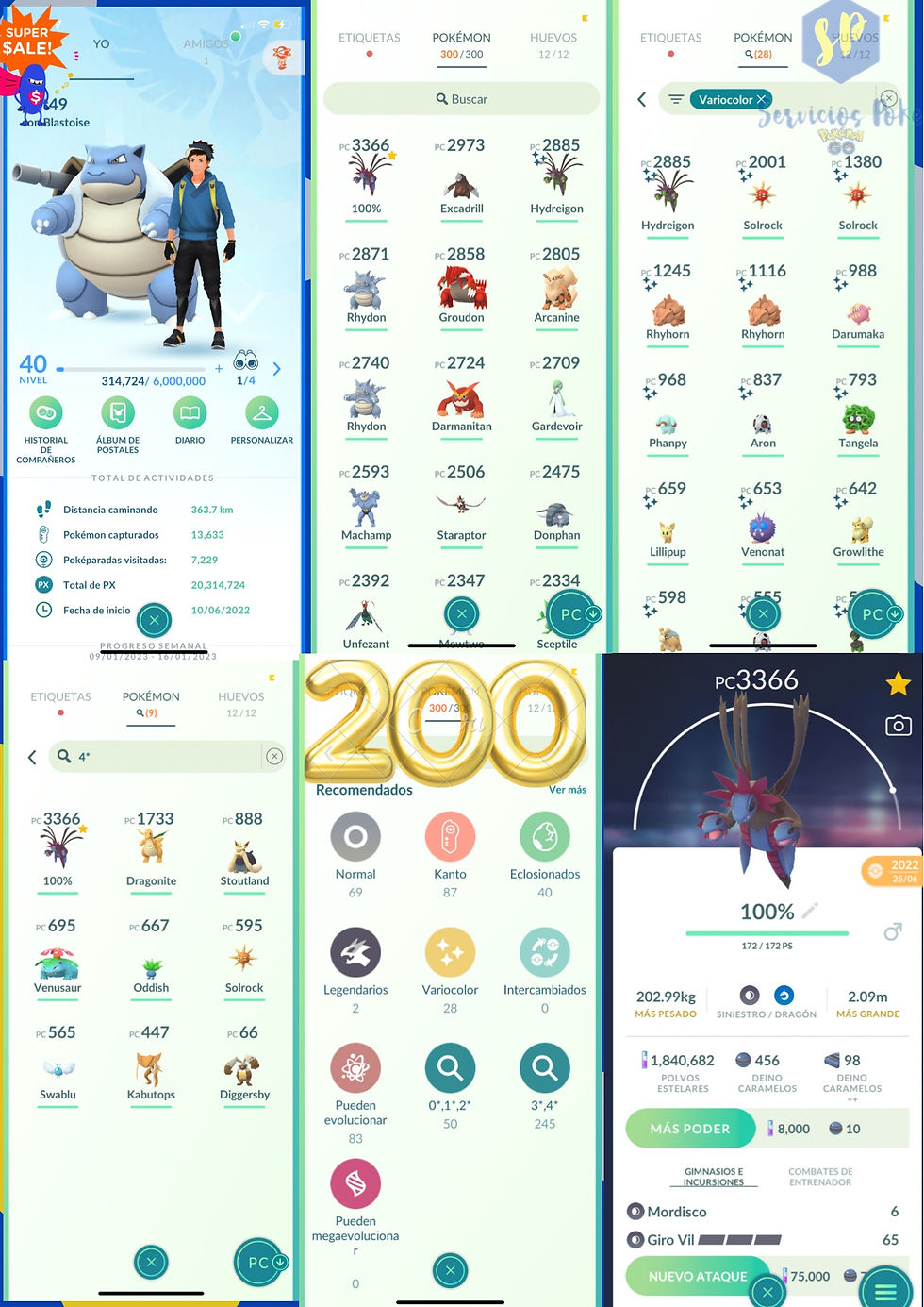 Entrenador nivel 40 sabiduría / Basica