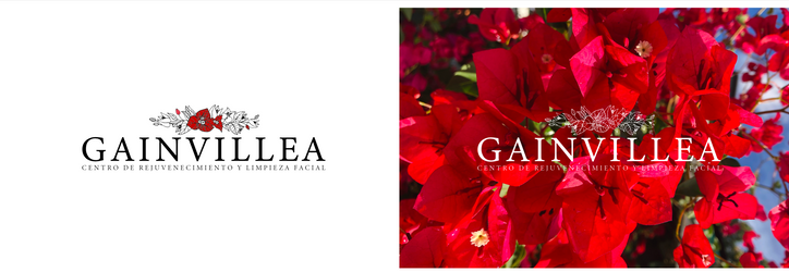 Gainvillea