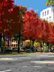 Margaret Mitchell House Gone with the Wind