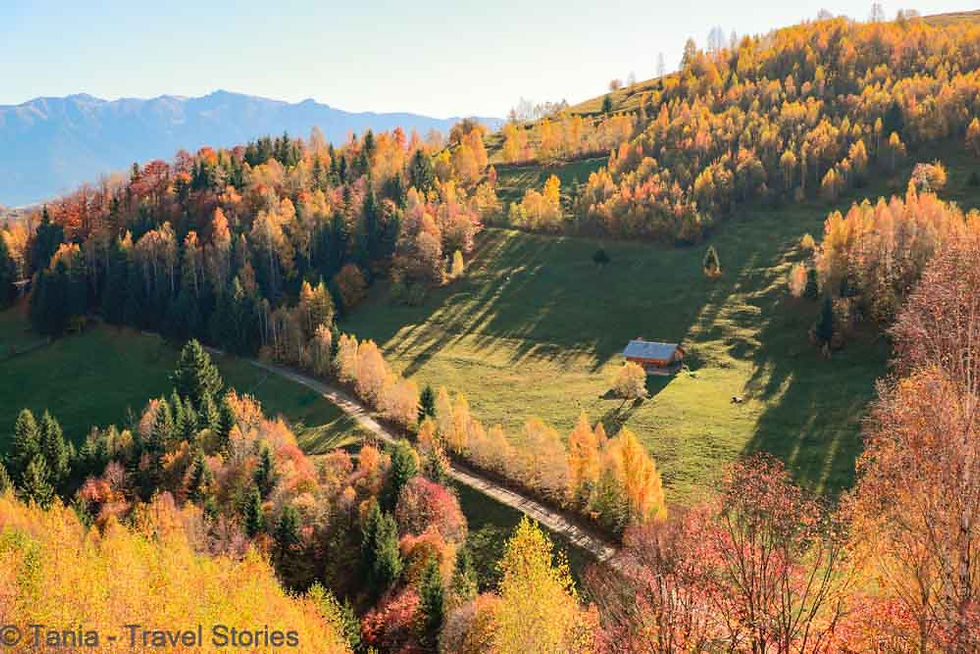 AUTUMN WALK THROUGH THE VILLAGES OF MAGURA AND PESTERA IN BRASOV COUNTY, ROMANIA