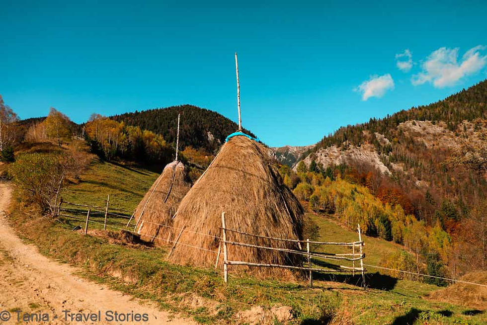 AUTUMN WALK THROUGH THE VILLAGES OF MAGURA AND PESTERA IN BRASOV COUNTY, ROMANIA