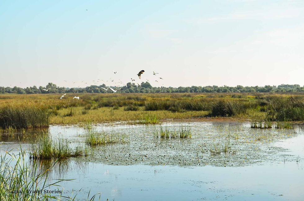 SFANTU GEORGHE, DANUBE DELTA - TRAVEL GUIDE