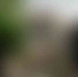 ACTIVITIES AND PLACES TO VISIT IN EDINBURGH