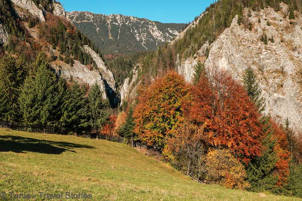 AUTUMN WALK THROUGH THE VILLAGES OF MAGURA AND PESTERA IN BRASOV COUNTY, ROMANIA