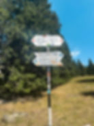 traseu Poiana Pelegi - Lacul Bucura