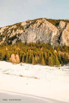 Traseu de iarna catre Cabana Curmatura