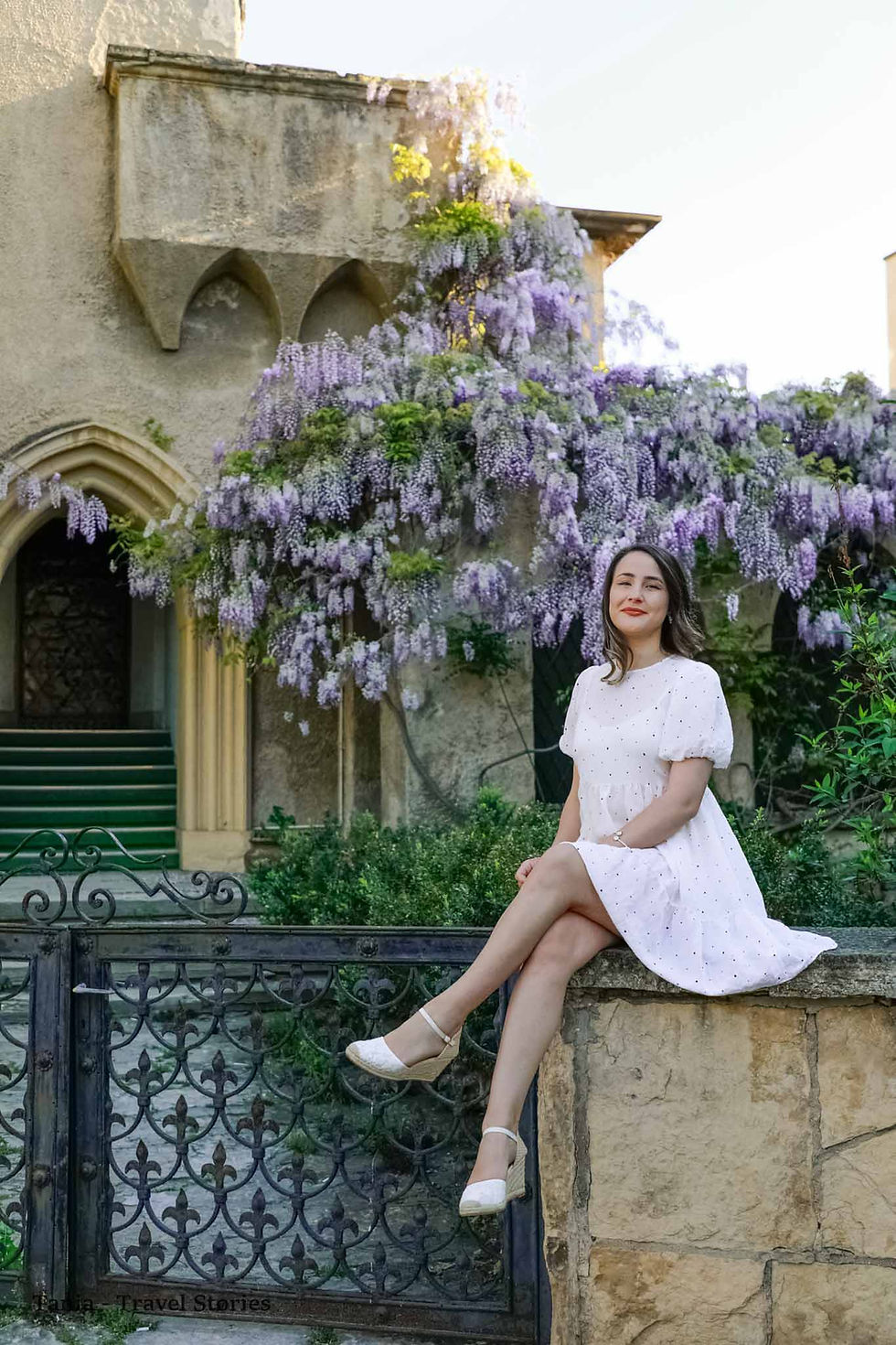 WISTERIA ON THE STREETS OF BUCHAREST, ROMANIA