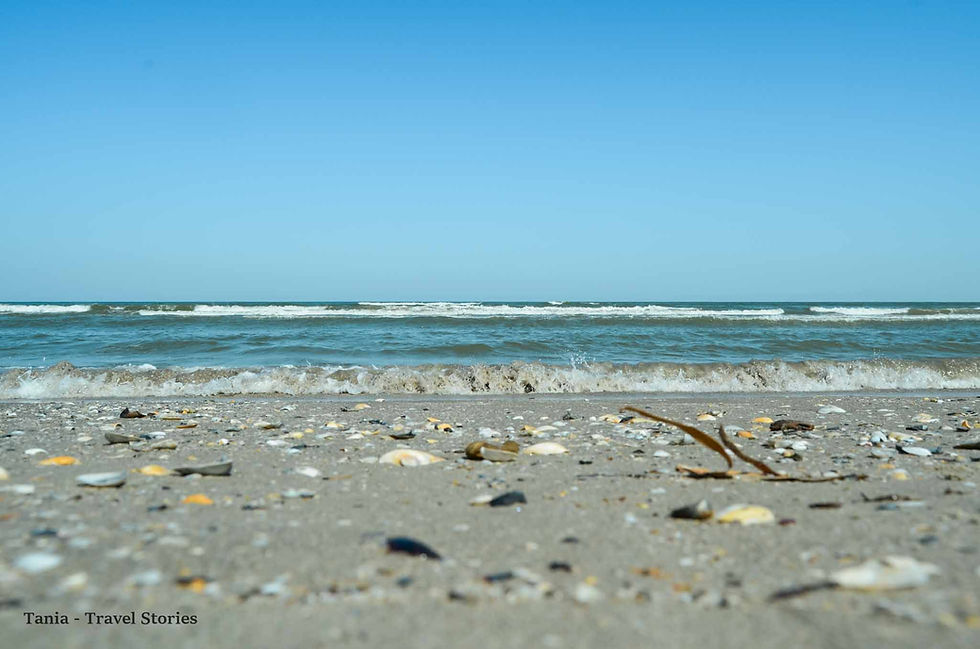 SFANTU GEORGHE, DANUBE DELTA - TRAVEL GUIDE