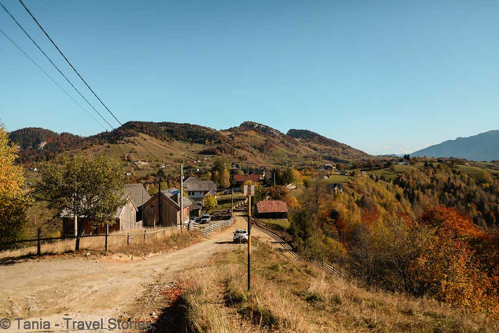 AUTUMN WALK THROUGH THE VILLAGES OF MAGURA AND PESTERA IN BRASOV COUNTY, ROMANIA