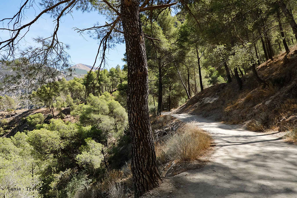 The most spectacular hike in Spain - El Caminito del Rey