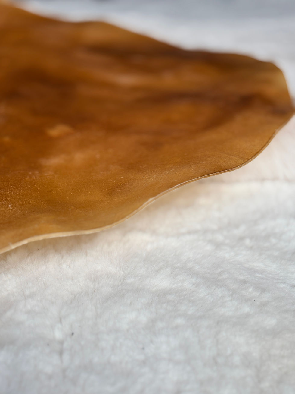 Thumbnail: Paardendrum - spirit - Gearshift Trainingen & Healingen