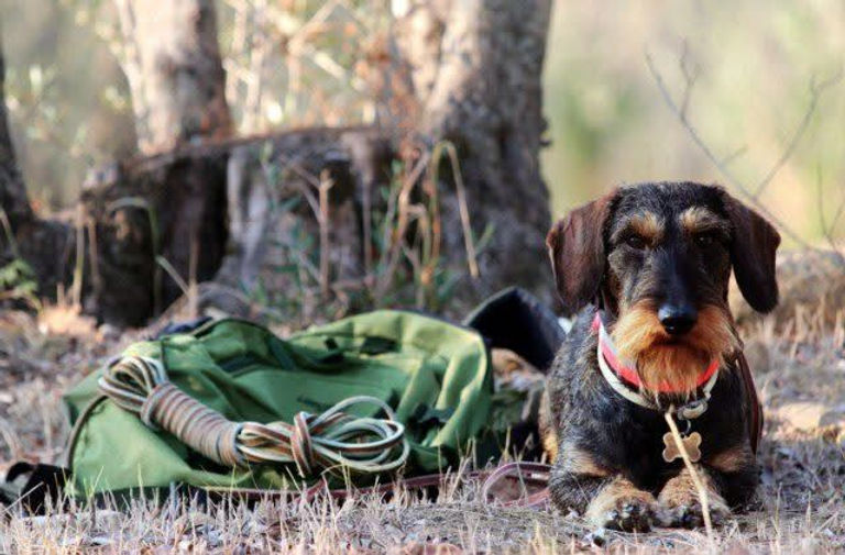 WhatsApp Image 2026-01-12 at 10.21.24.jpeg