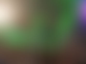 Festival Nacional do Camarão: evento reuniu mais de 60 mil pessoas em quatro dias