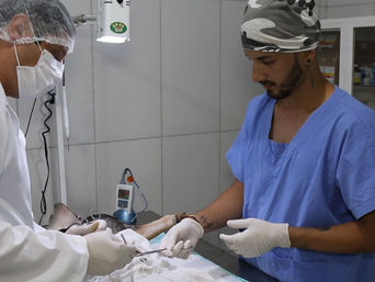 Centro de Bem-estar animal: Em quatro meses, cerca de 750 castrações foram realizadas em animais de