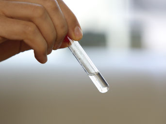 Município de Imbituba continua mobilizado contra o Aedes aegypti