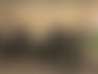 Sicredi cresce em Santa Catarina 35,16% nos Ativos Totais em 2017