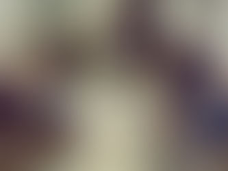 Liberação de área para projeto social do professor Bananinha é debatida em Imbituba