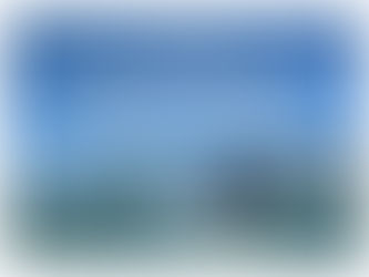 Site lança Guia Online "Roteiro de Observação de Baleias Franca em SC"