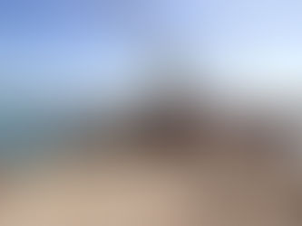 Porto de Imbituba realiza exportação inédita no Brasil de madeira de reflorestamento em navio break