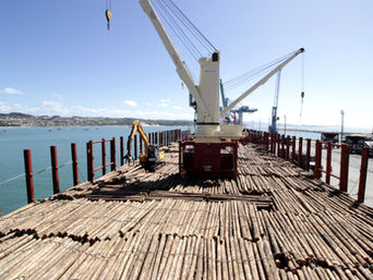 Porto de Imbituba realiza exportação inédita no Brasil de madeira de reflorestamento em navio break