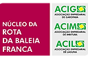 4.-Logomarca-Núcleo-RBF.png