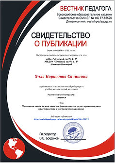 Статья в Вестнике педагога.jpeg